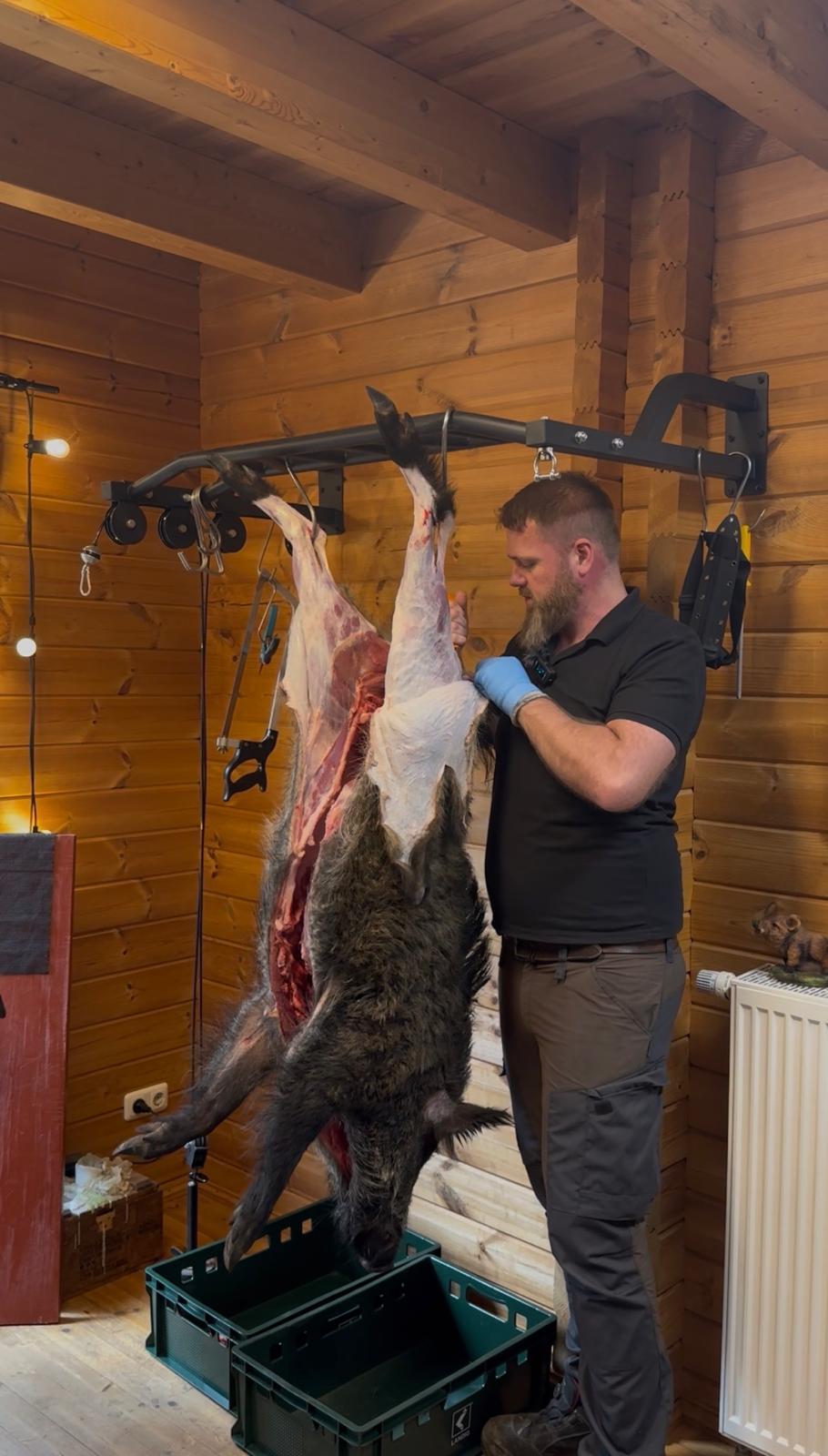 Wildschwein hängend beim Zerwirken im Kursraum mit Jäger Natürlich Grünewald