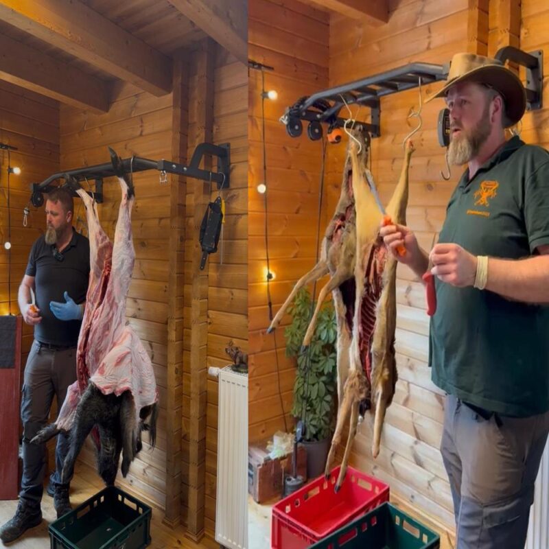 Collage Zerwirken Schwarzwild und Rehwild an Wildgalgen in Holzhütte praxisnahe Wildverarbeitung