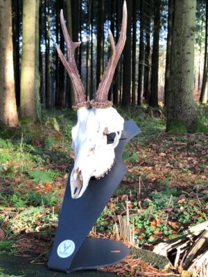 WAIDSTEEL Trophäenunterlage, rehwild, jagd