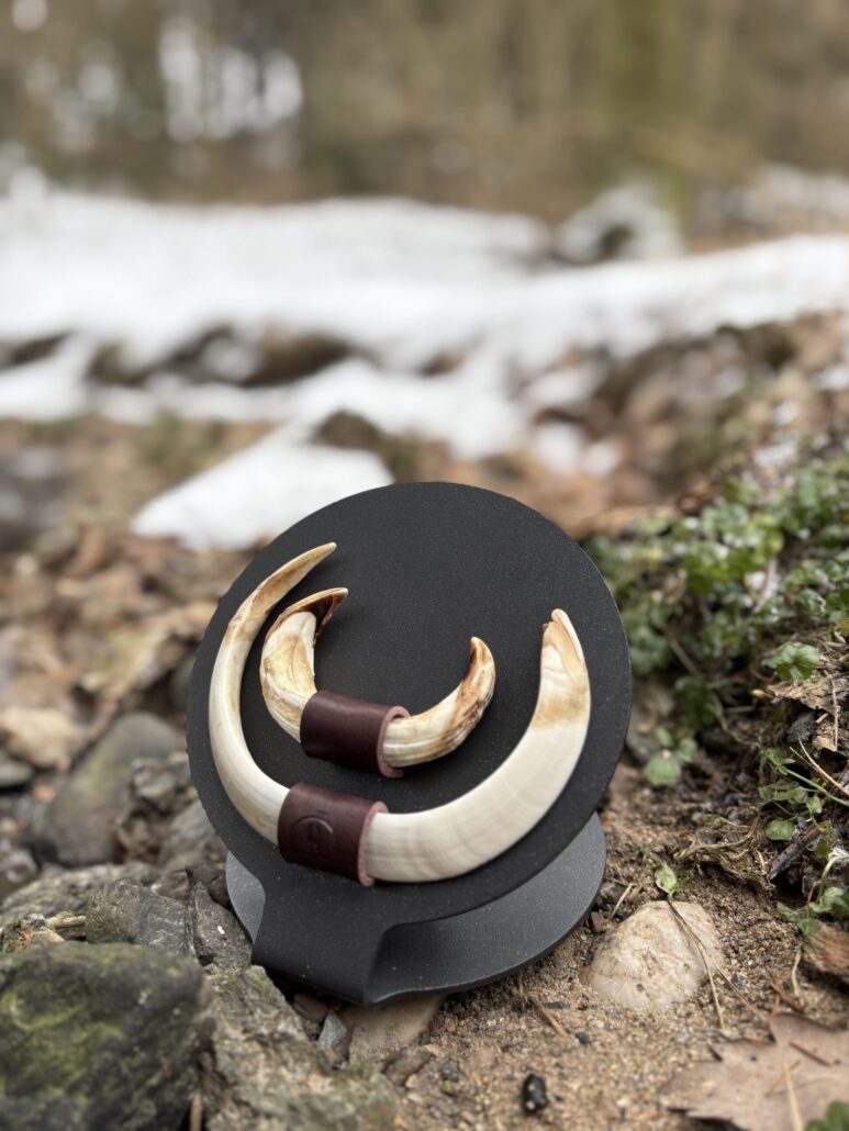 SILVASTEEL Trophäenunterlage Schwarzwild aus 3 mm Stahl mit runder Halterung, montierte Keiler-Hauer vor winterlicher Landschaft mit Schnee und Steinuntergrund